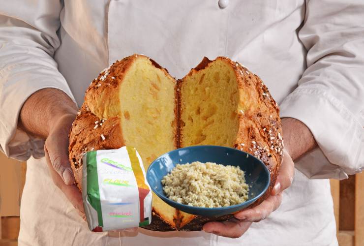 panettone farina di grillo 