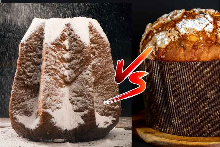 Pandoro Panettone 